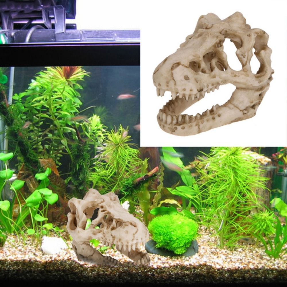 Aquarium Fish Hideout - Creative Simulation Dinosaur Skull Escape House