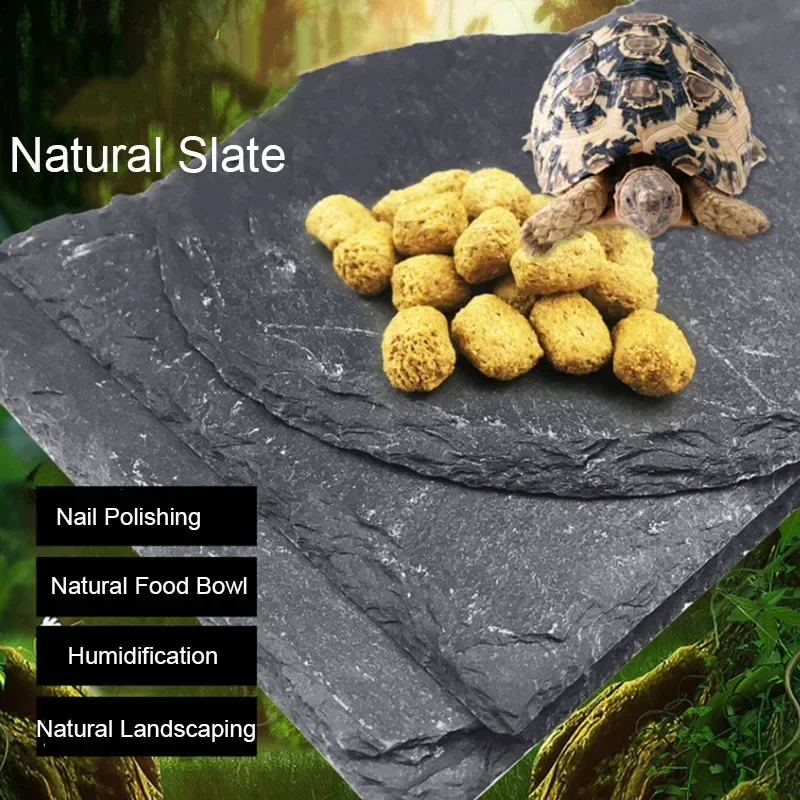 Aquarium Fish Food - Natural Slate Aquarium Pet Reptile Feeder