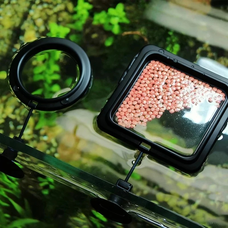 Aquarium Fish Food - 1/3pcs Aquarium Fish Feeding Ring Fish