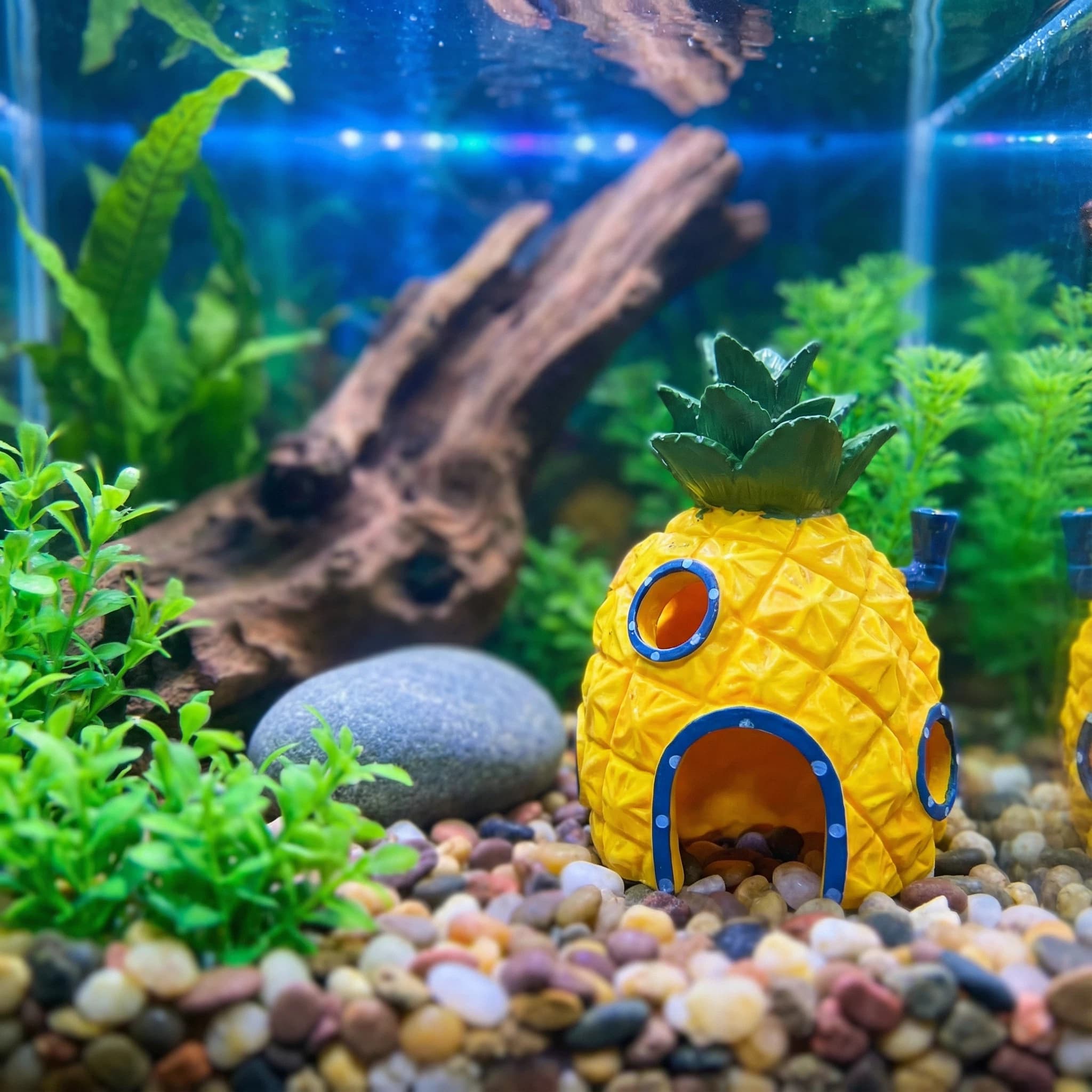 Aquarium Fish Hideout - Pineapple House Aquarium Decor， Eco-Friendly Resin