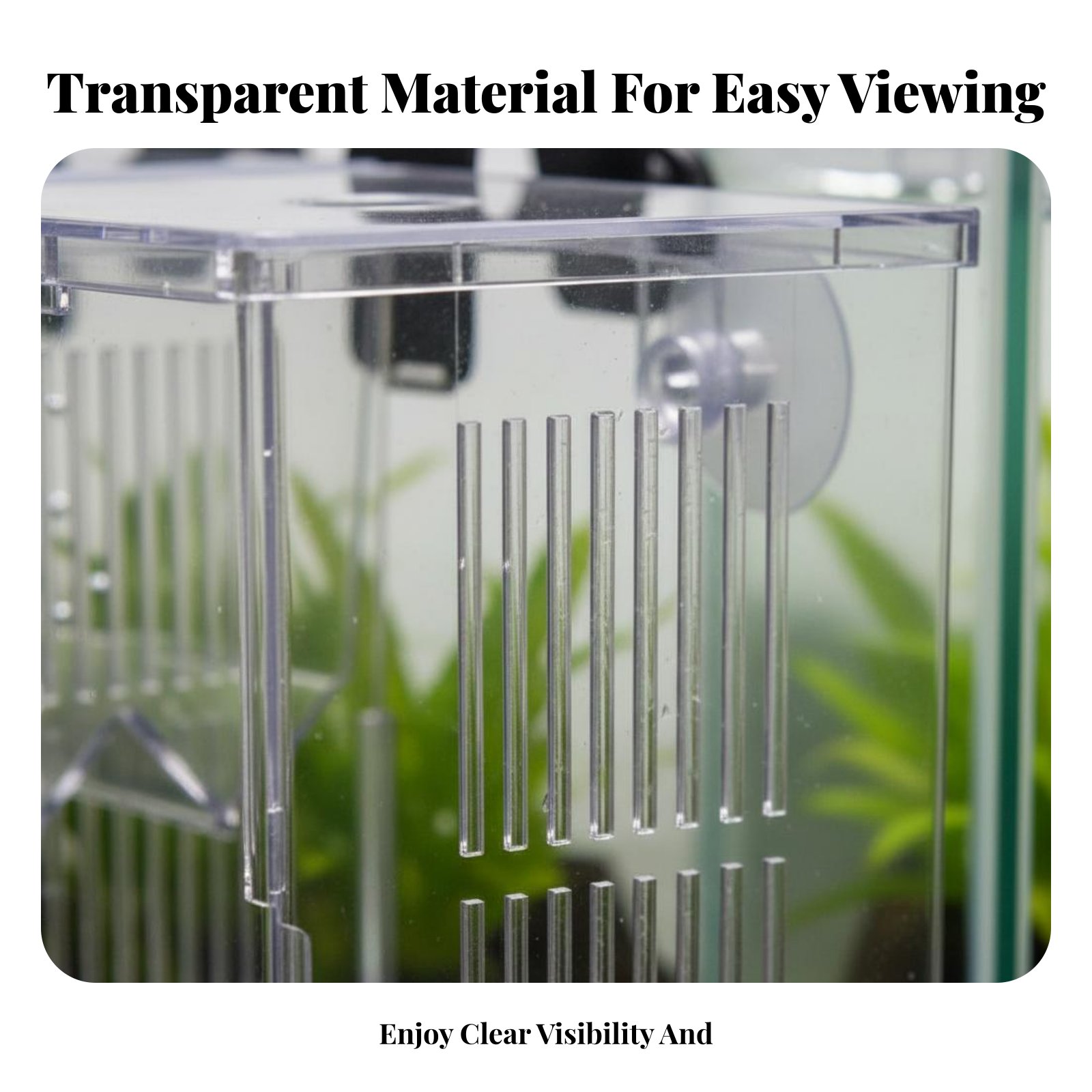 Aquatic Habitat Hatchery Box P - Aquarium Fishes 评论和价格
