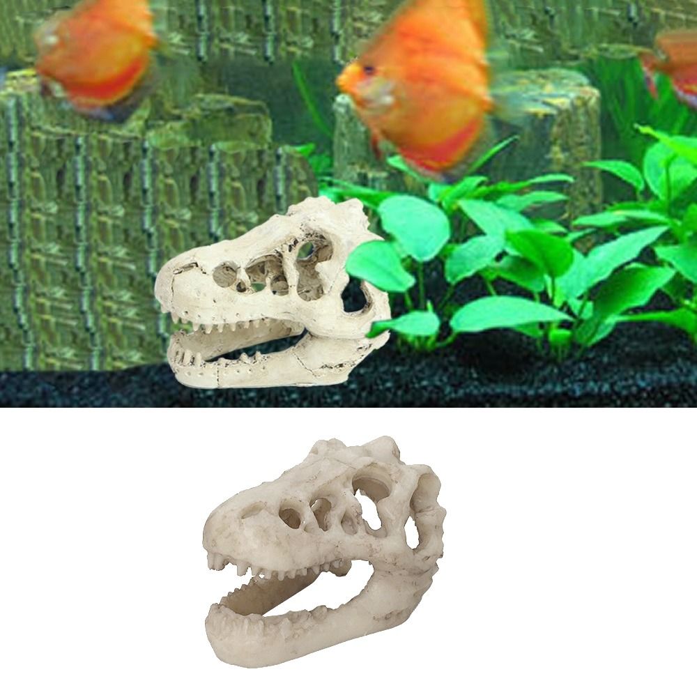 Creative Simulation Dinosaur S - Aquarium Fish Hideout 评论和价格