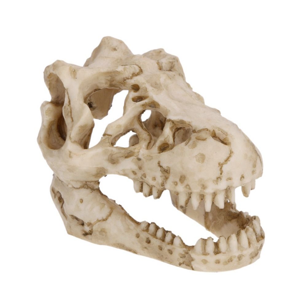 Creative Simulation Dinosaur S - Aquarium Fish Hideout 评论和价格