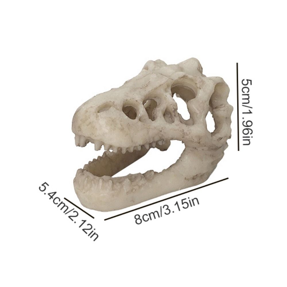 Creative Simulation Dinosaur S - Aquarium Fish Hideout 评论和价格