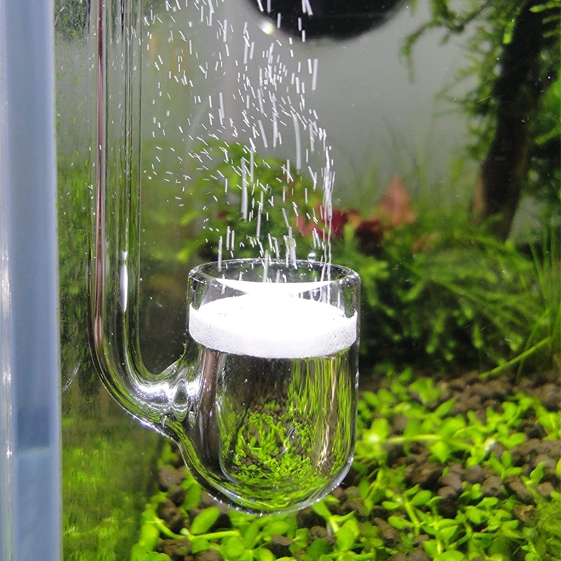 D0AD Glass CO2 Diffuser for Aq - Co2 Diffuser Planted 评论和价格