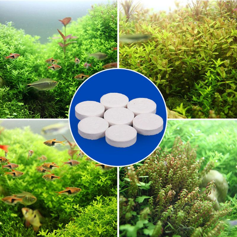 Aquarium Co2 Tablet Carbon Dio - Co2 Diffuser Planted 评论和价格