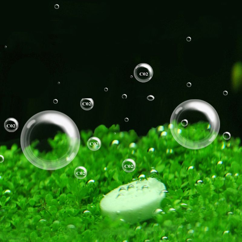 Aquarium Co2 Tablet Carbon Dio - Co2 Diffuser Planted 评论和价格
