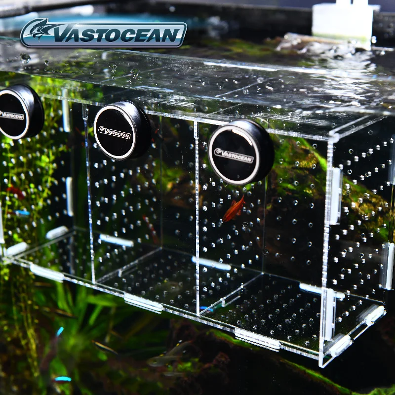 VASTOCEAN Fish Tank Magnetic C - Aquarium Fish Cave 评论和价格