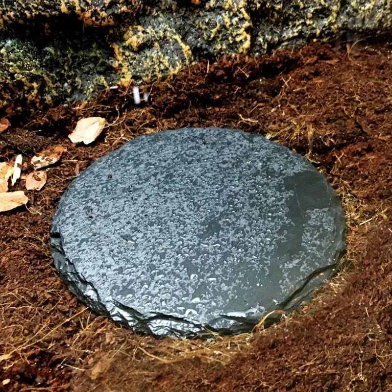 Natural Slate Aquarium Pet Rep - Aquarium Fish Food 评论和价格