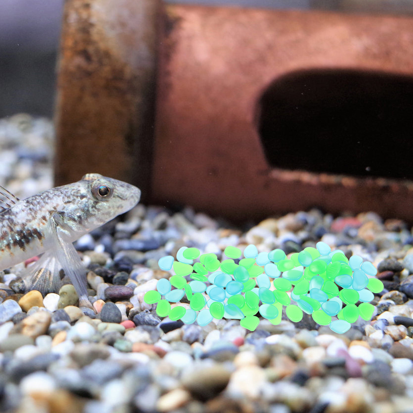 100Pcs Luminous Night Glow Sto - Aquarium Decoration Rock 评论和价格