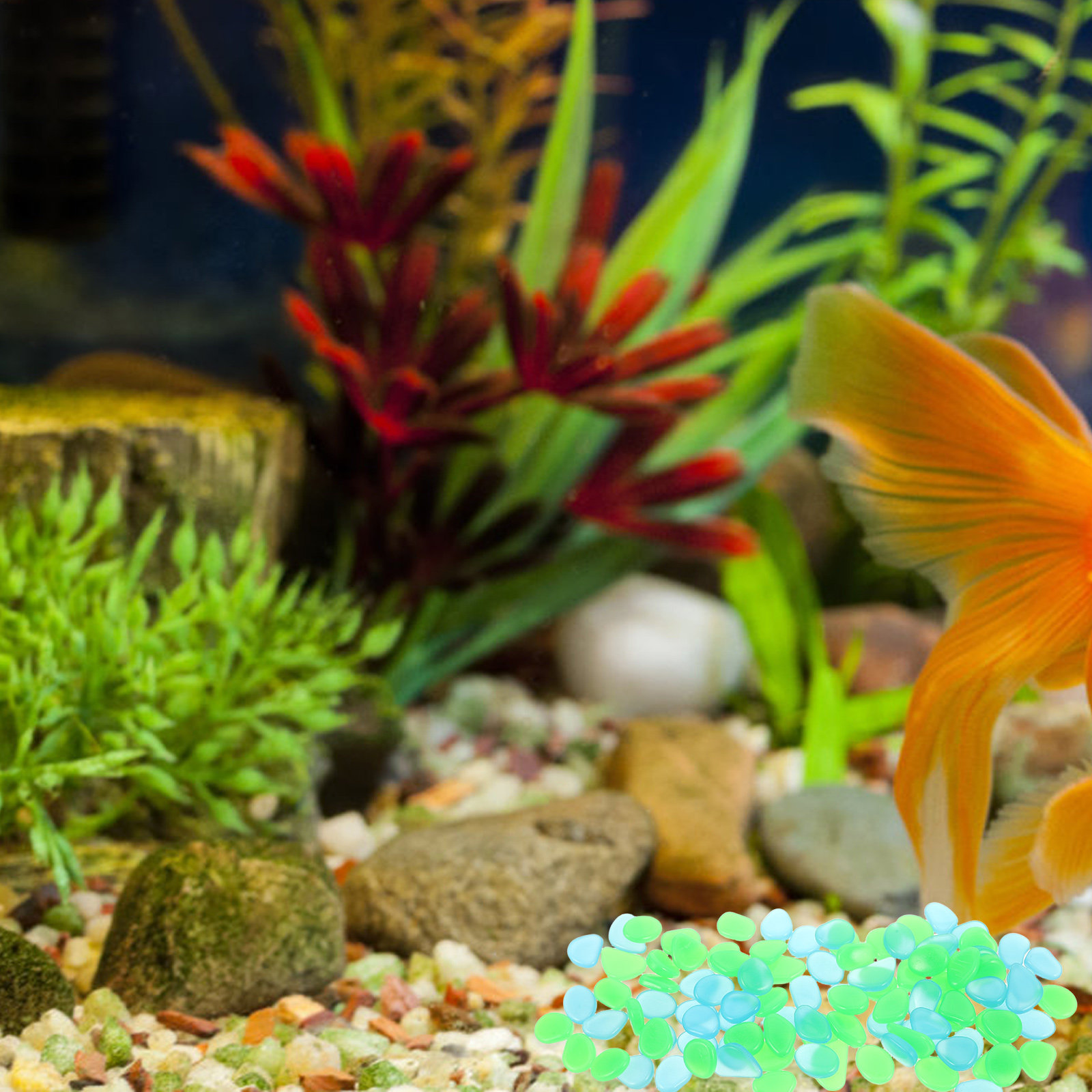 100Pcs Luminous Night Glow Sto - Aquarium Decoration Rock 评论和价格