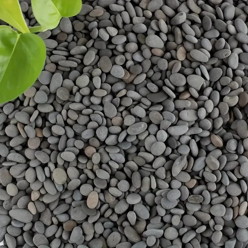 20Pcs Natural River Rocks Smoo - Aquarium Decoration Rock 评论和价格