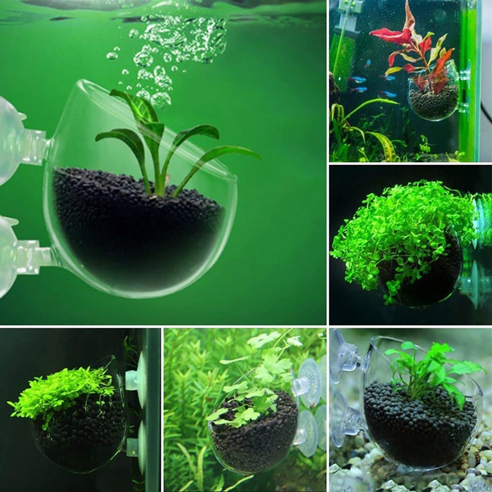 Aquarium Decoration Plant Cup  - Aquarium Fish Beautiful 评论和价格