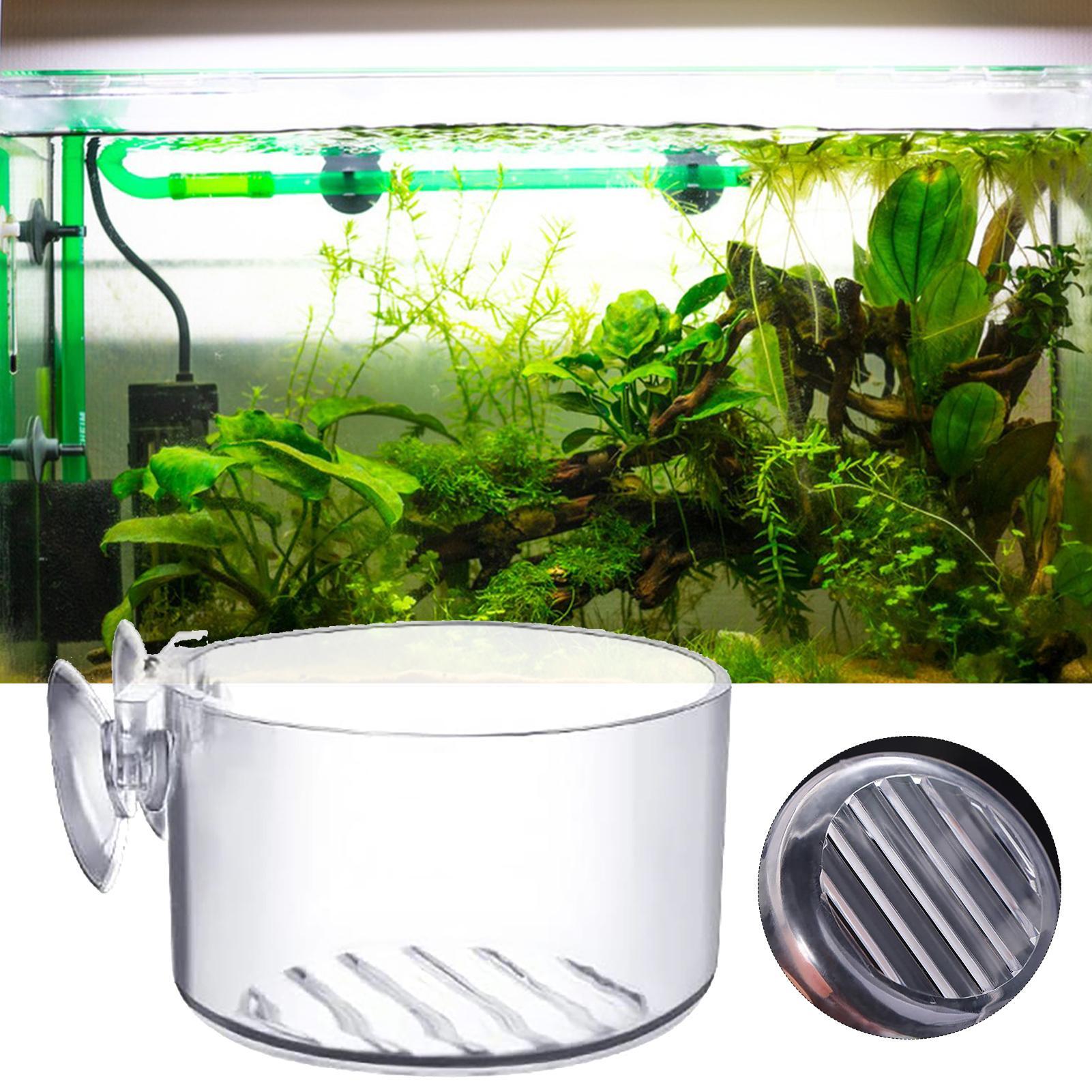 Aquarium Decoration Plant Cup  - Aquarium Fish Beautiful 评论和价格
