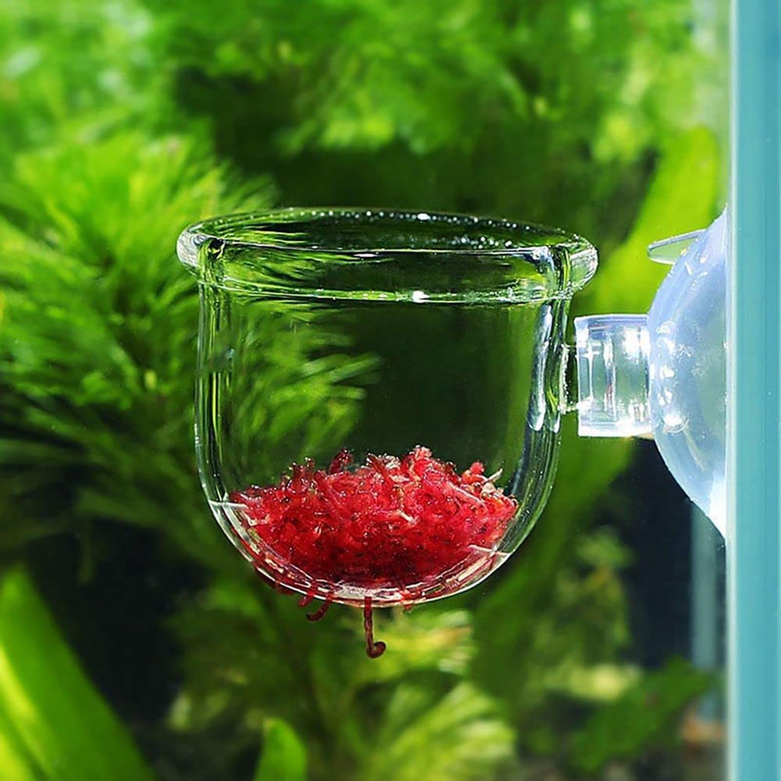 Aquatic Plant Cups Pot with Su - Aquarium Fish Beautiful 评论和价格