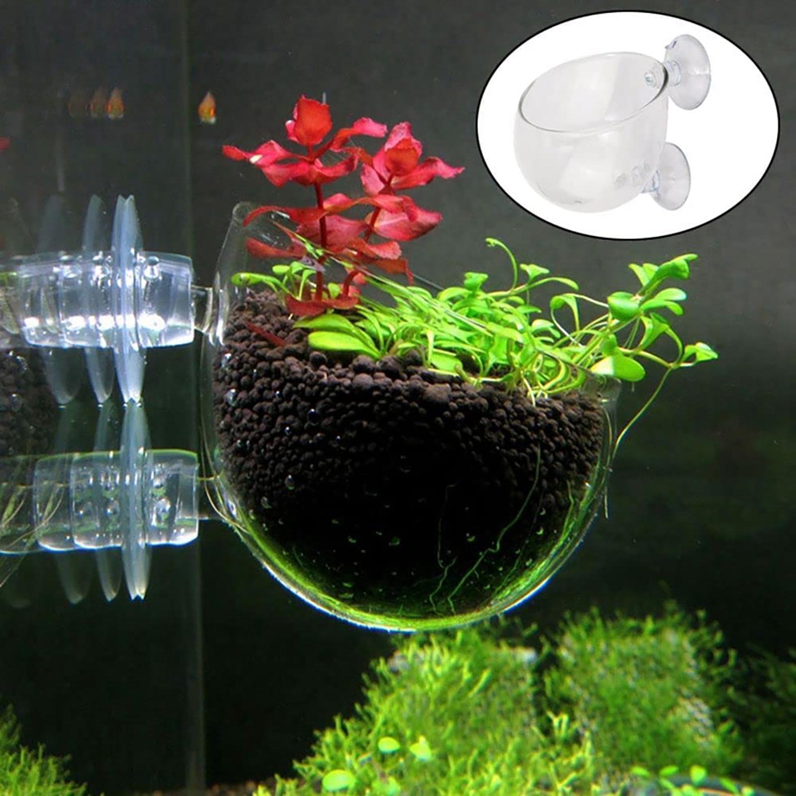 Acrylic Aquarium Plant Pots Aq - Aquarium Fish Beautiful 评论和价格