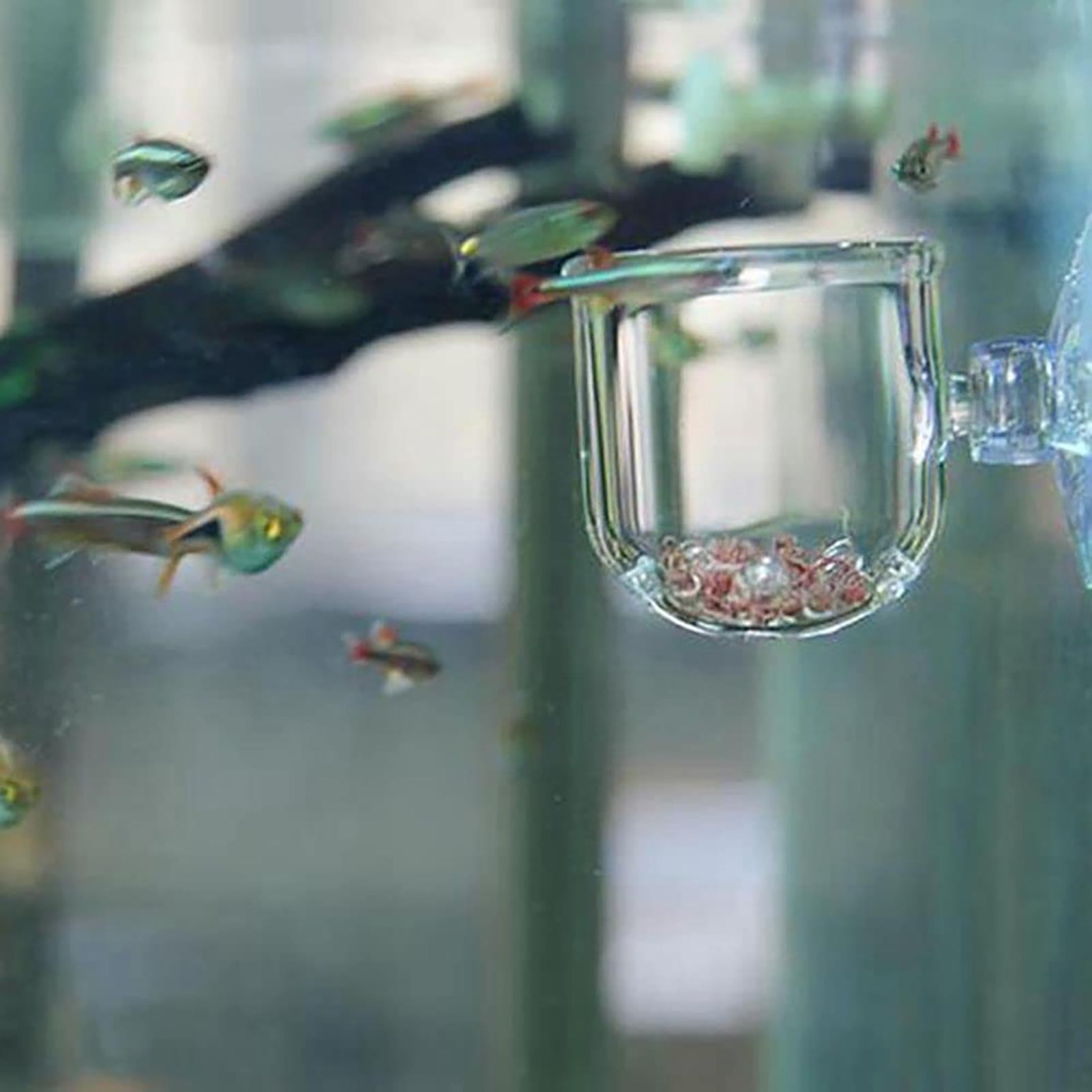 Acrylic Aquarium Plant Pots Aq - Aquarium Fish Beautiful 评论和价格