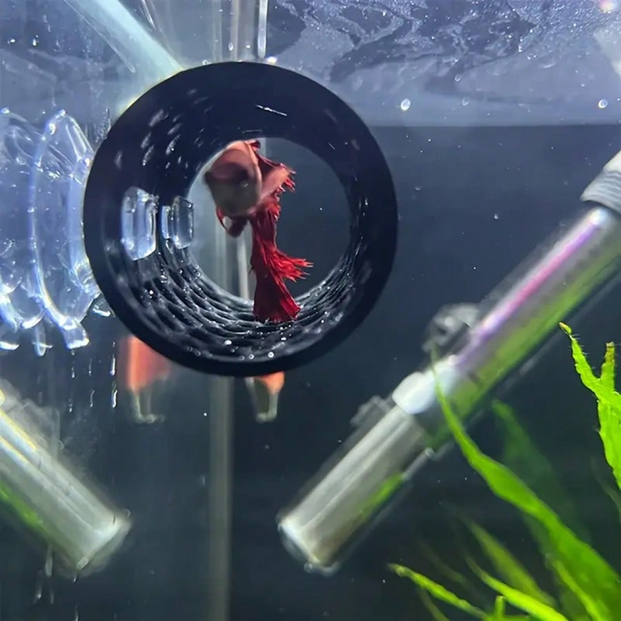 Betta Fish Hideout Hollow Tube - Aquarium Fish Hideout 评论和价格