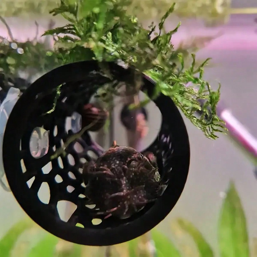 Betta Fish Hideout Hollow Tube - Aquarium Fish Hideout 评论和价格
