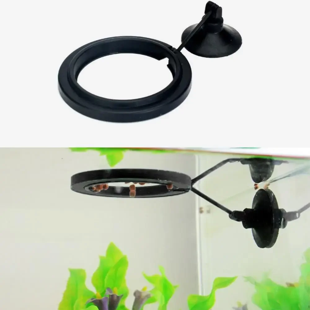 Feed Suction Cup Aquarium Feed - Aquarium Fish Food 评论和价格