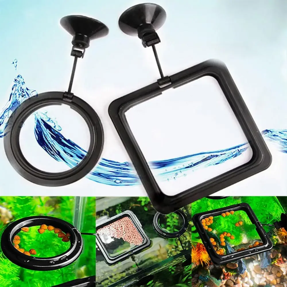 Feed Suction Cup Aquarium Feed - Aquarium Fish Food 评论和价格