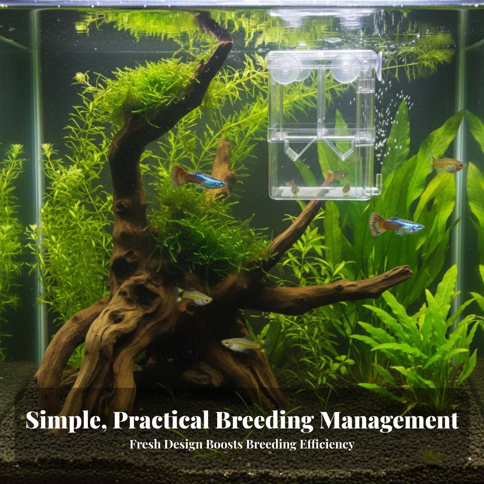 Double Layer Aquarium Breeding - Aquarium Fishes 评论和价格