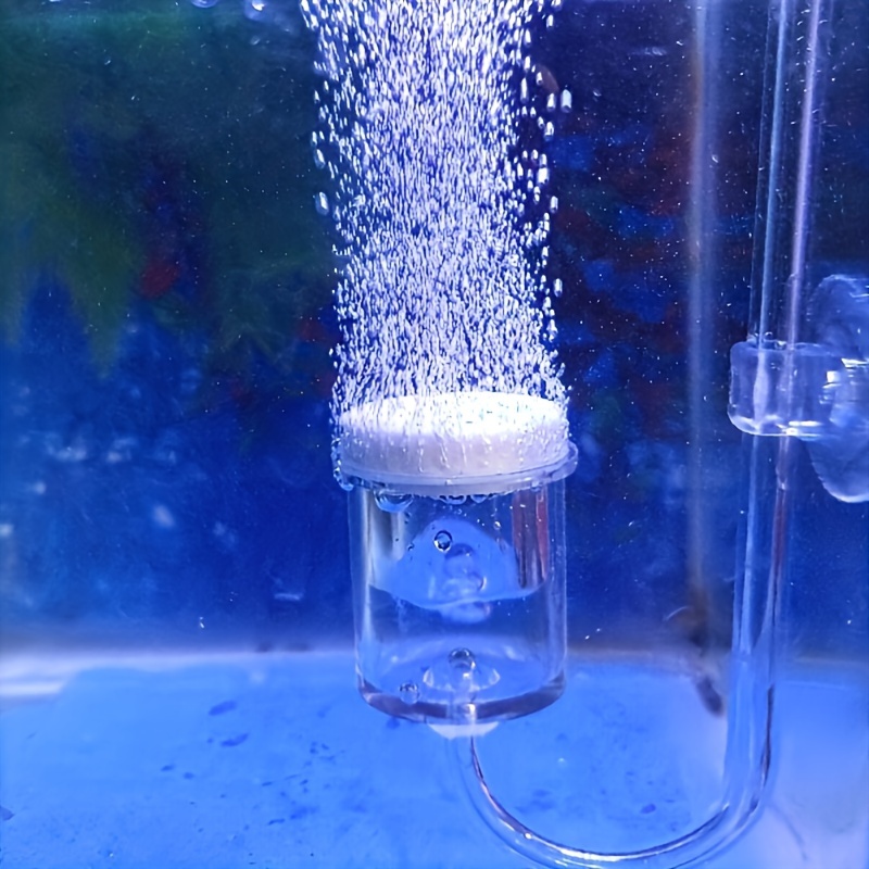 Aquarium Glass CO2 Atomizer Di - Co2 Diffuser Planted 评论和价格