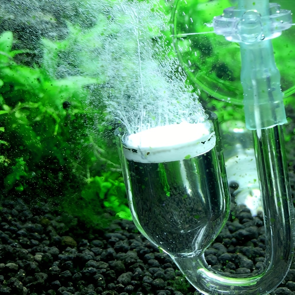 Aquarium Glass CO2 Atomizer Di - Co2 Diffuser Planted 评论和价格