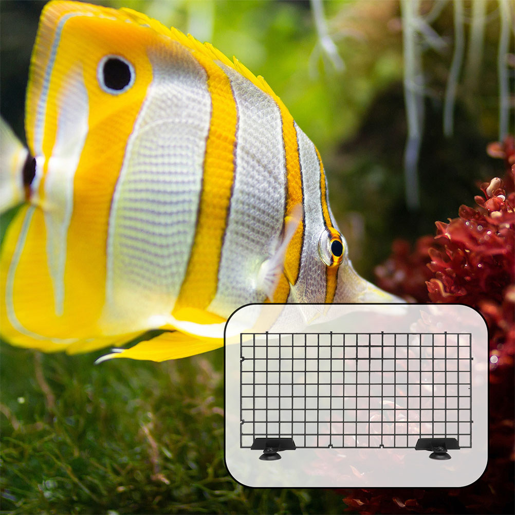 4 Sets Fish Tank Divider Separ - Tank Divider Mesh 评论和价格