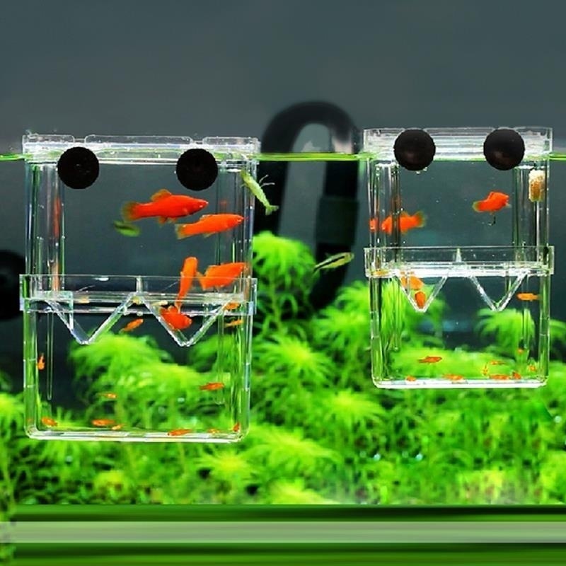 Multifunctional Fish Aquarium  - Aquarium Fish Cave 评论和价格