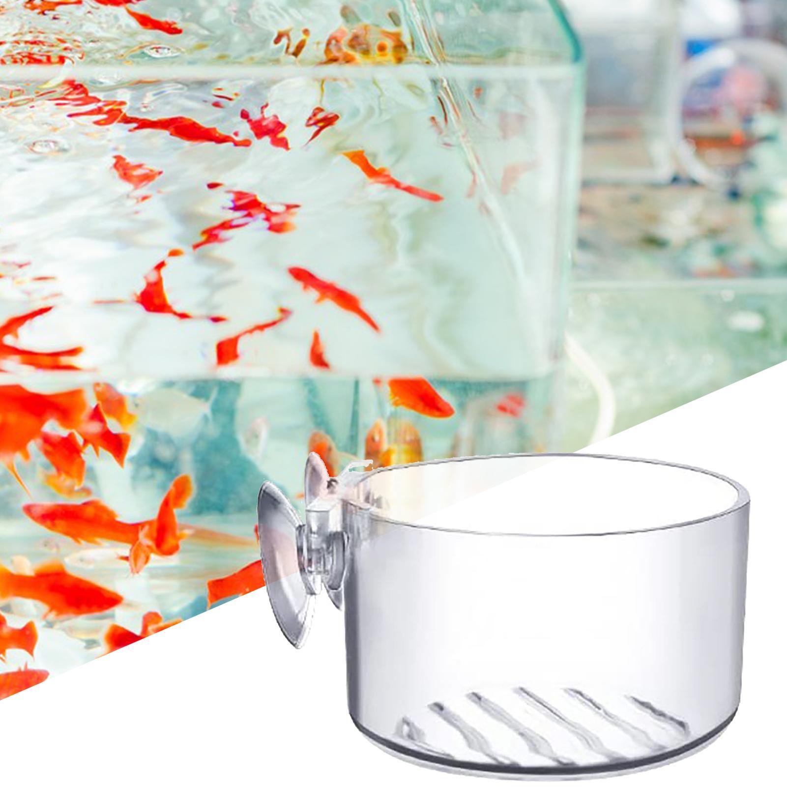 Suction Aquarium Plant Holder  - Aquarium Fish Beautiful 评论和价格