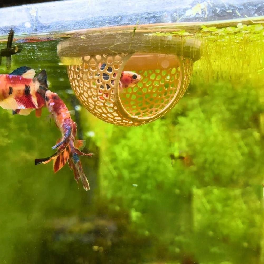 Aquarium Floating Cave Fish Sh - Aquarium Fish Hideout 评论和价格