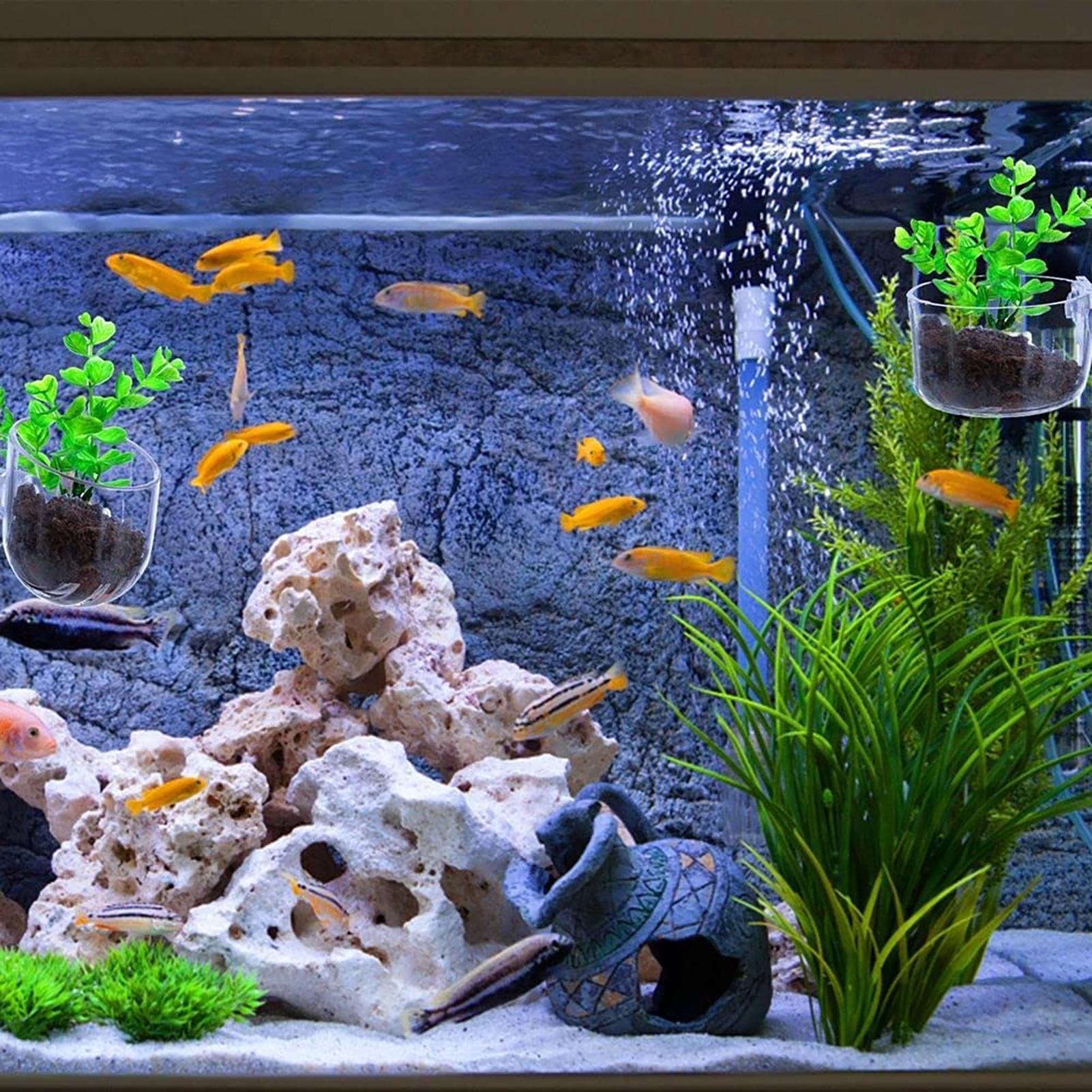 Plant Holder for Fish Tank Cle - Aquarium Fish Beautiful 评论和价格