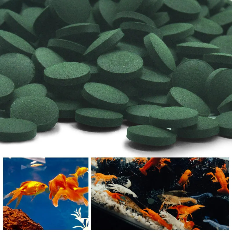 50-300Pcs High Purity Spirulin - Aquarium Fish Food 评论和价格
