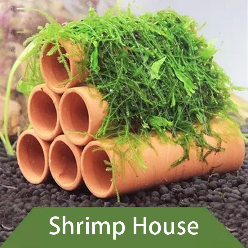 Clay Aquarium Decoration Fish  - Aquarium Fish Hideout 评论和价格