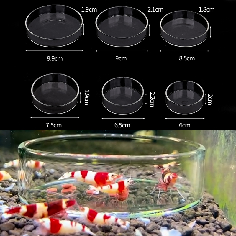 Shrimp Feeding Dish High Trans - Aquarium Fish Food 评论和价格