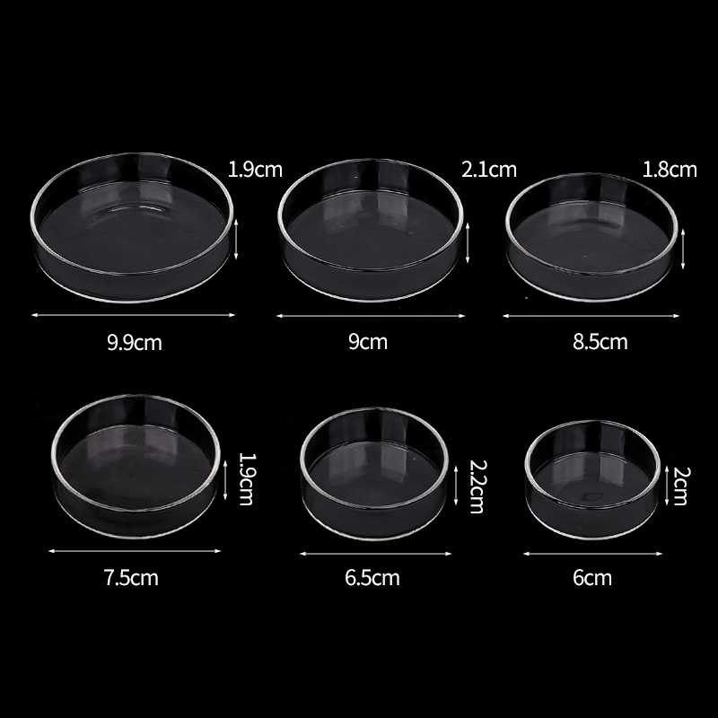 Shrimp Feeding Dish High Trans - Aquarium Fish Food 评论和价格