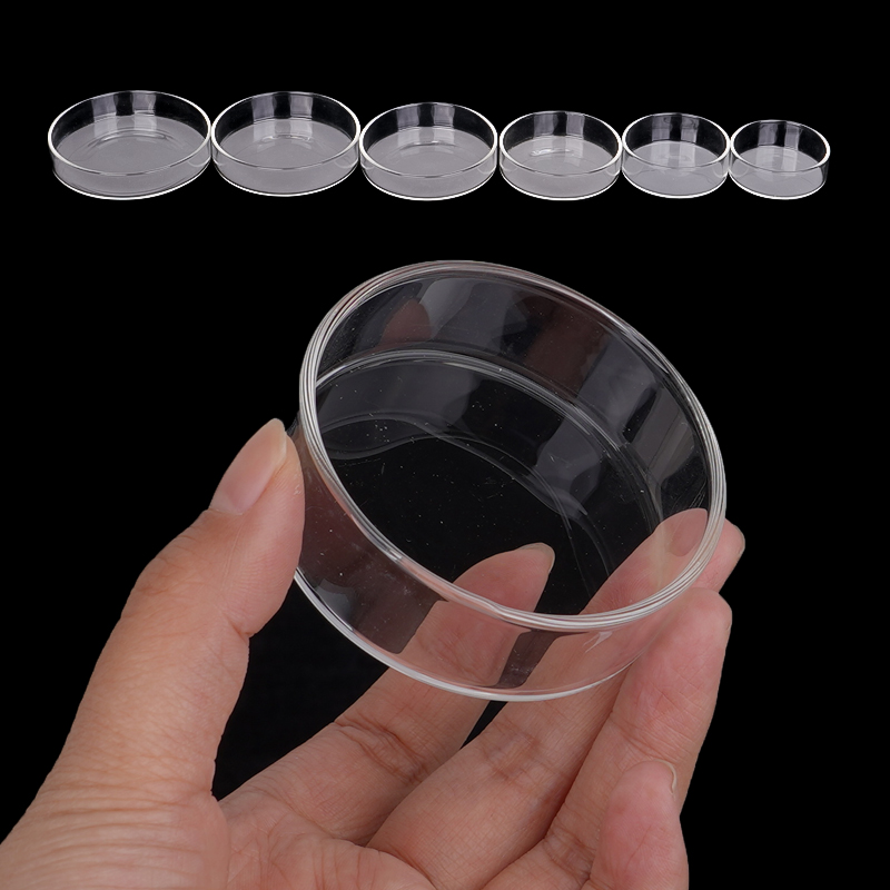 Shrimp Feeding Dish High Trans - Aquarium Fish Food 评论和价格