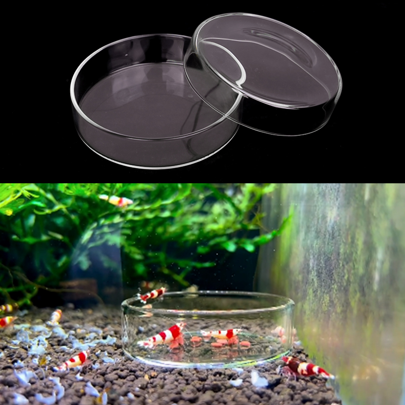 Shrimp Feeding Dish High Trans - Aquarium Fish Food 评论和价格