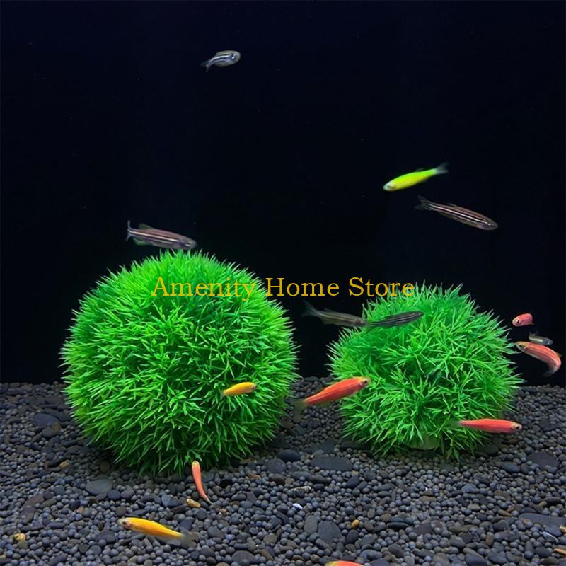 F26C Aquatic Plants Marimo for - Aquarium Fish Beautiful 评论和价格