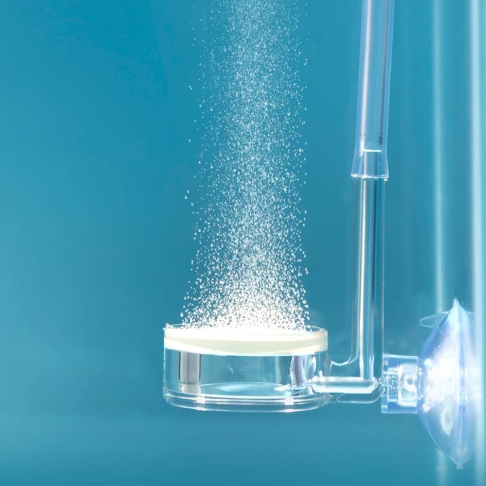 1PC Diffuser for Aquarium Plan - Co2 Diffuser Planted 评论和价格