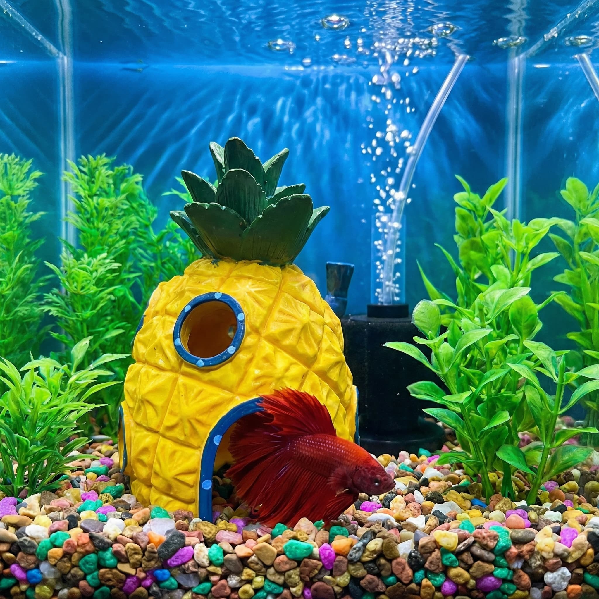 Pineapple House Aquarium Decor - Aquarium Fish Hideout 评论和价格