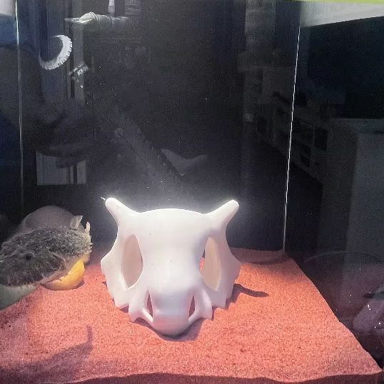 3D Printed FIsh Shrimp Reptile - Aquarium Fish Hideout 评论和价格