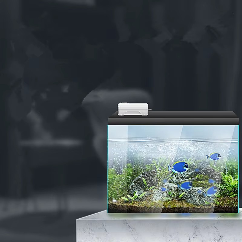 220V/110V 3W/8W/12W Ultra Sile - Xl Aquarium Fish 评论和价格